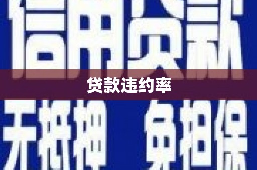 南芬贷款违约率