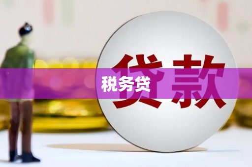 南芬税务贷
