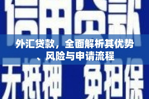 南芬外汇贷款，全面解析其优势、风险与申请流程