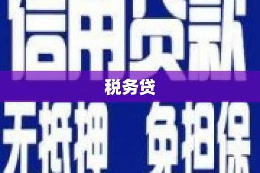 南芬税务贷