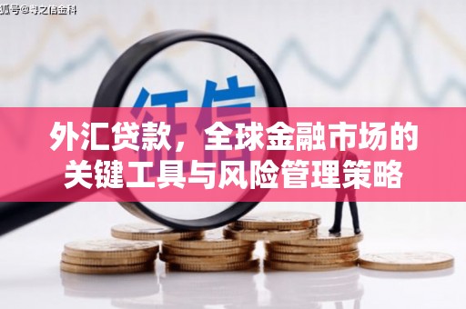 南芬外汇贷款，全球金融市场的关键工具与风险管理策略