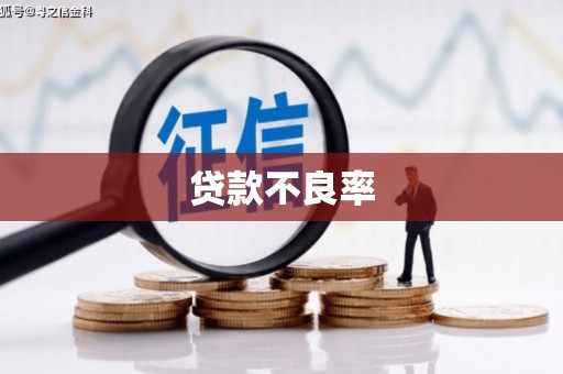 南芬贷款不良率