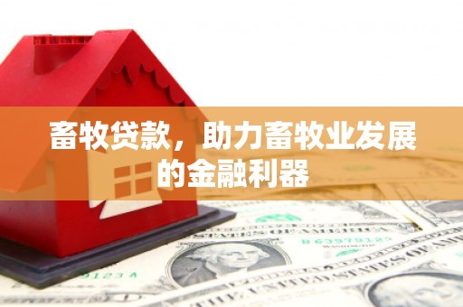 南芬畜牧贷款，助力畜牧业发展的金融利器
