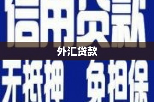 南芬外汇贷款