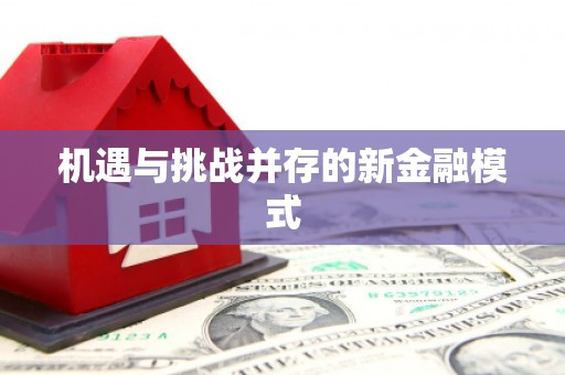 南芬机遇与挑战并存的新金融模式
