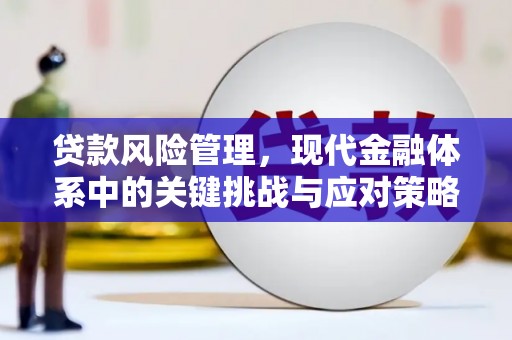 南芬贷款风险管理，现代金融体系中的关键挑战与应对策略
