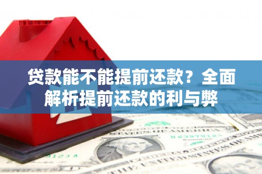 南芬贷款能不能提前还款？全面解析提前还款的利与弊