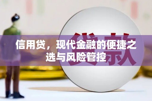南芬信用贷，现代金融的便捷之选与风险管控