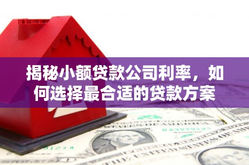 南芬揭秘小额贷款公司利率，如何选择最合适的贷款方案