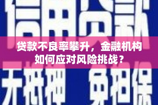 南芬贷款不良率攀升，金融机构如何应对风险挑战？