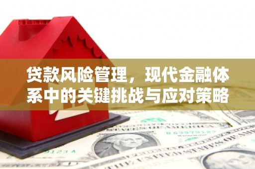 南芬贷款风险管理，现代金融体系中的关键挑战与应对策略