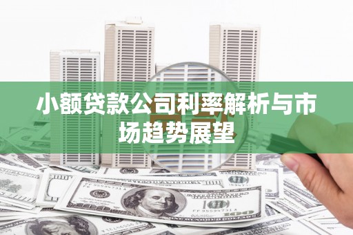 南芬小额贷款公司利率解析与市场趋势展望