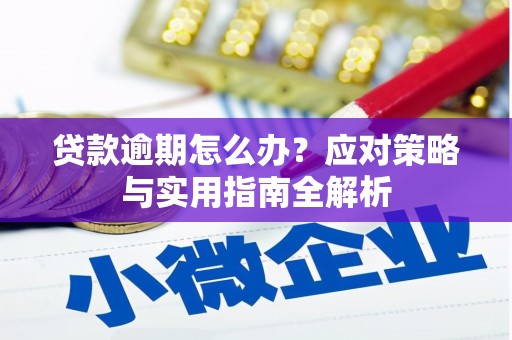 南芬贷款逾期怎么办？应对策略与实用指南全解析