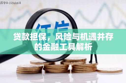 南芬贷款担保，风险与机遇并存的金融工具解析