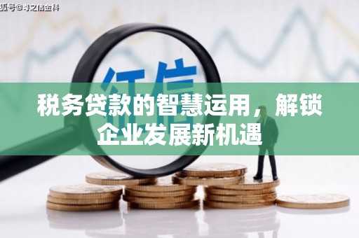 南芬税务贷款的智慧运用，解锁企业发展新机遇